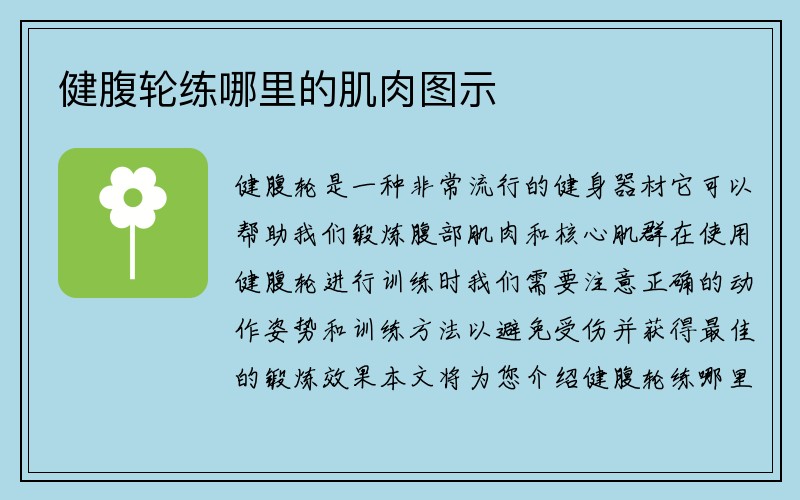 健腹轮练哪里的肌肉图示