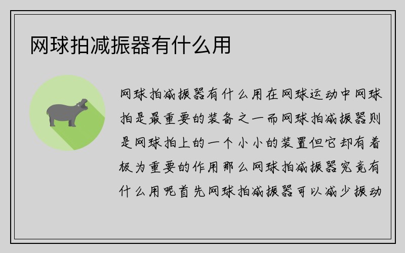 网球拍减振器有什么用